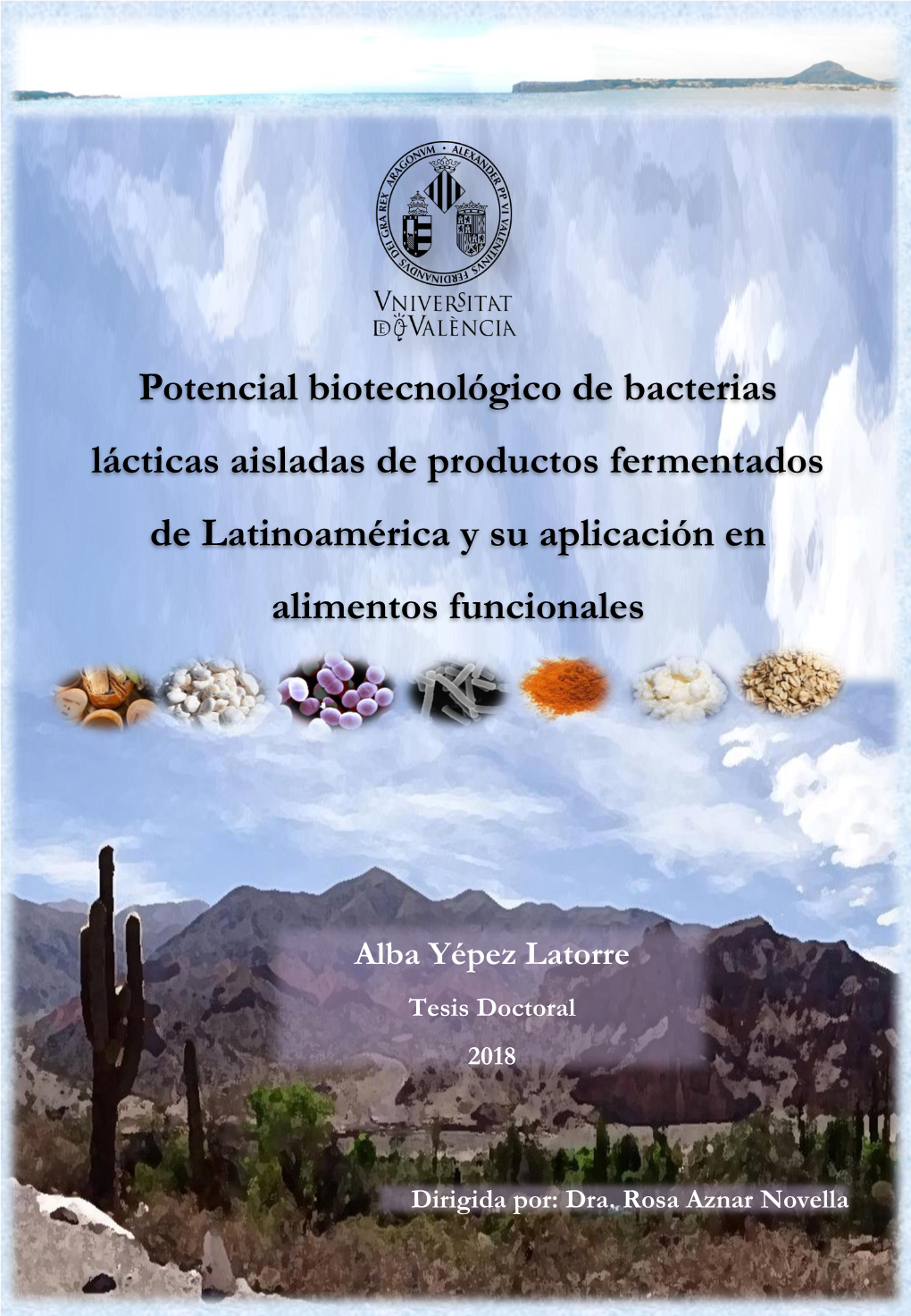 Potencial Biotecnológico De Bacterias Lácticas Aisladas De Productos Fermentados De Latinoamérica Y Su Aplicación En Alimentos Funcionales