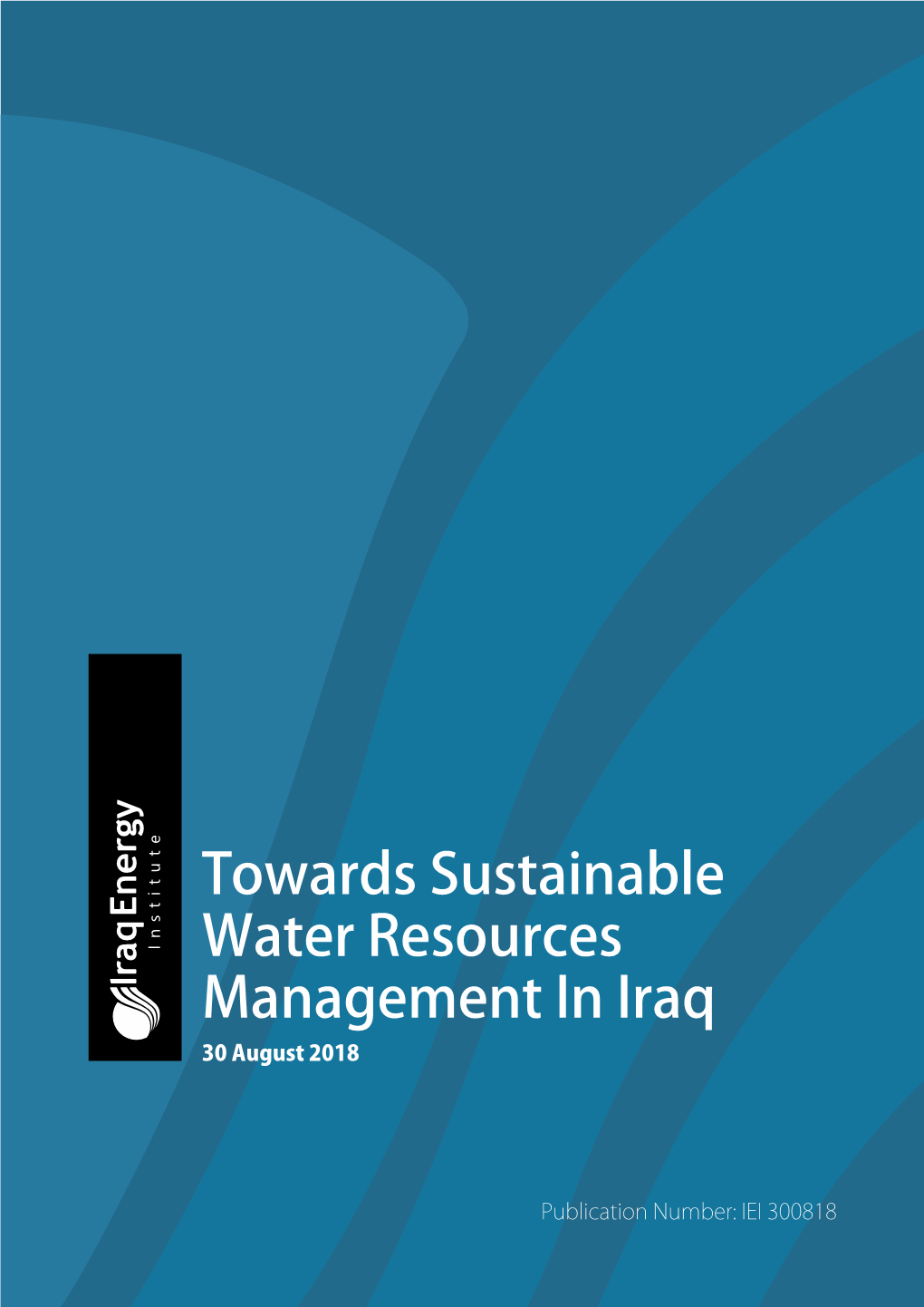 Towards Sustainable Water Resources Management in Iraq