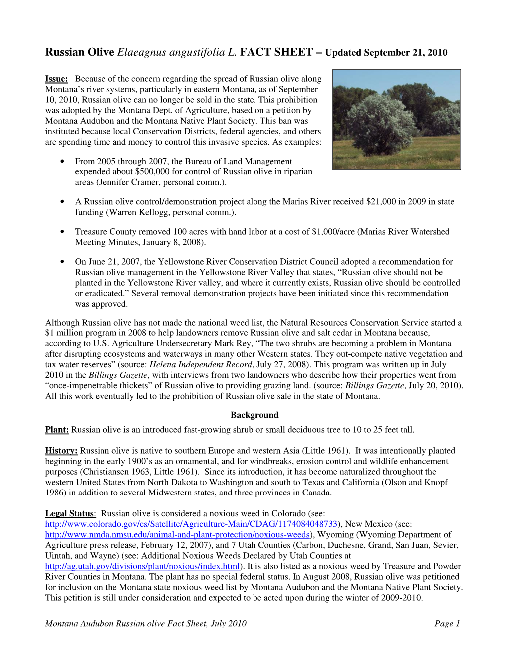 Russian Olive Elaeagnus Angustifolia L. FACT SHEET – Updated September 21, 2010