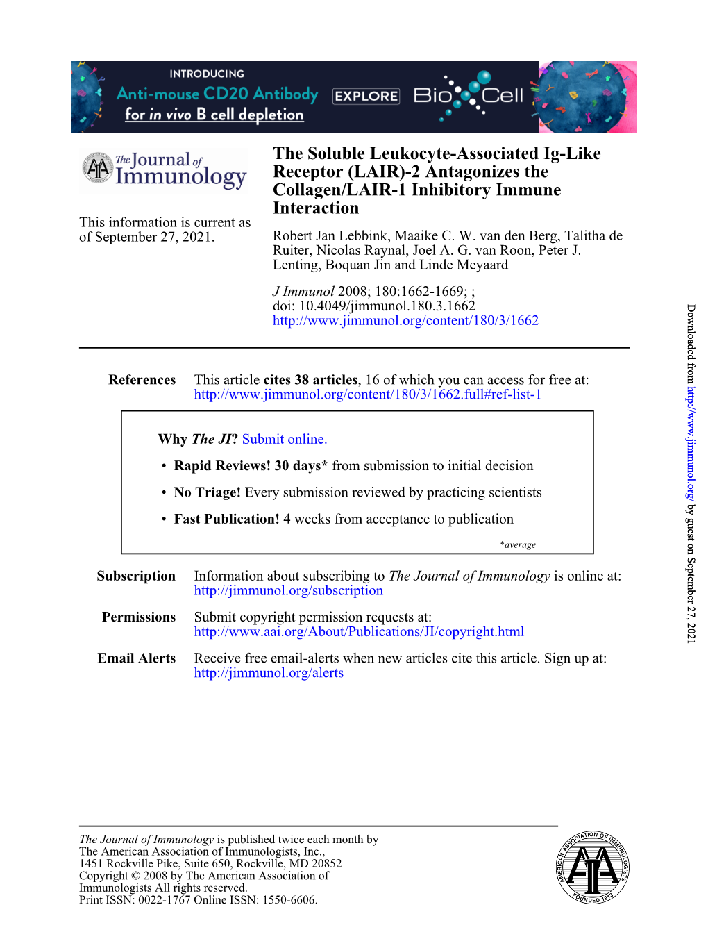 Interaction Collagen/LAIR-1 Inhibitory Immune Receptor