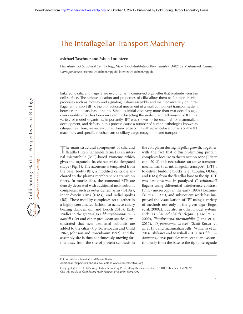 The Intraflagellar Transport Machinery