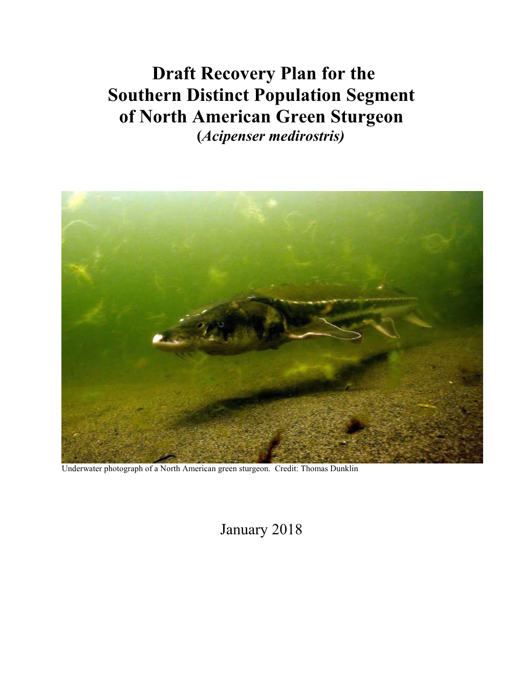 Draft Recovery Plan for the Southern Distinct Population Segment of North American Green Sturgeon (Acipenser Medirostris)