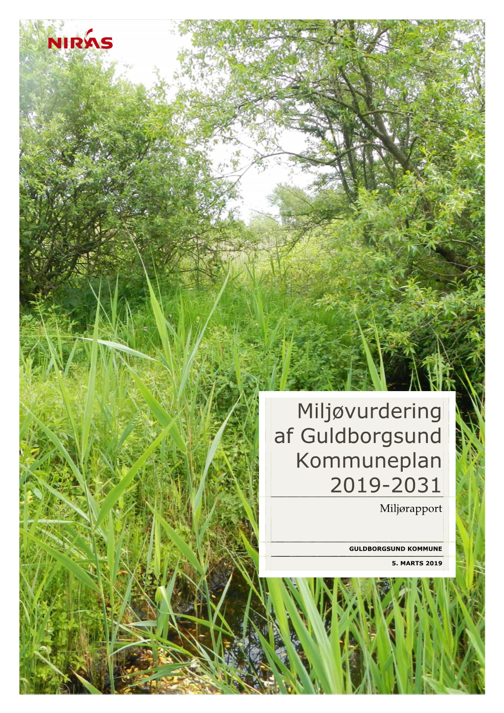 Miljøvurdering Af Guldborgsund Kommuneplan 2019-2031 Miljørapport