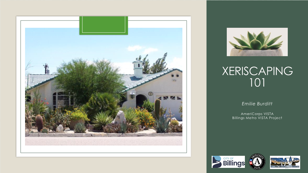 Xeriscaping 101