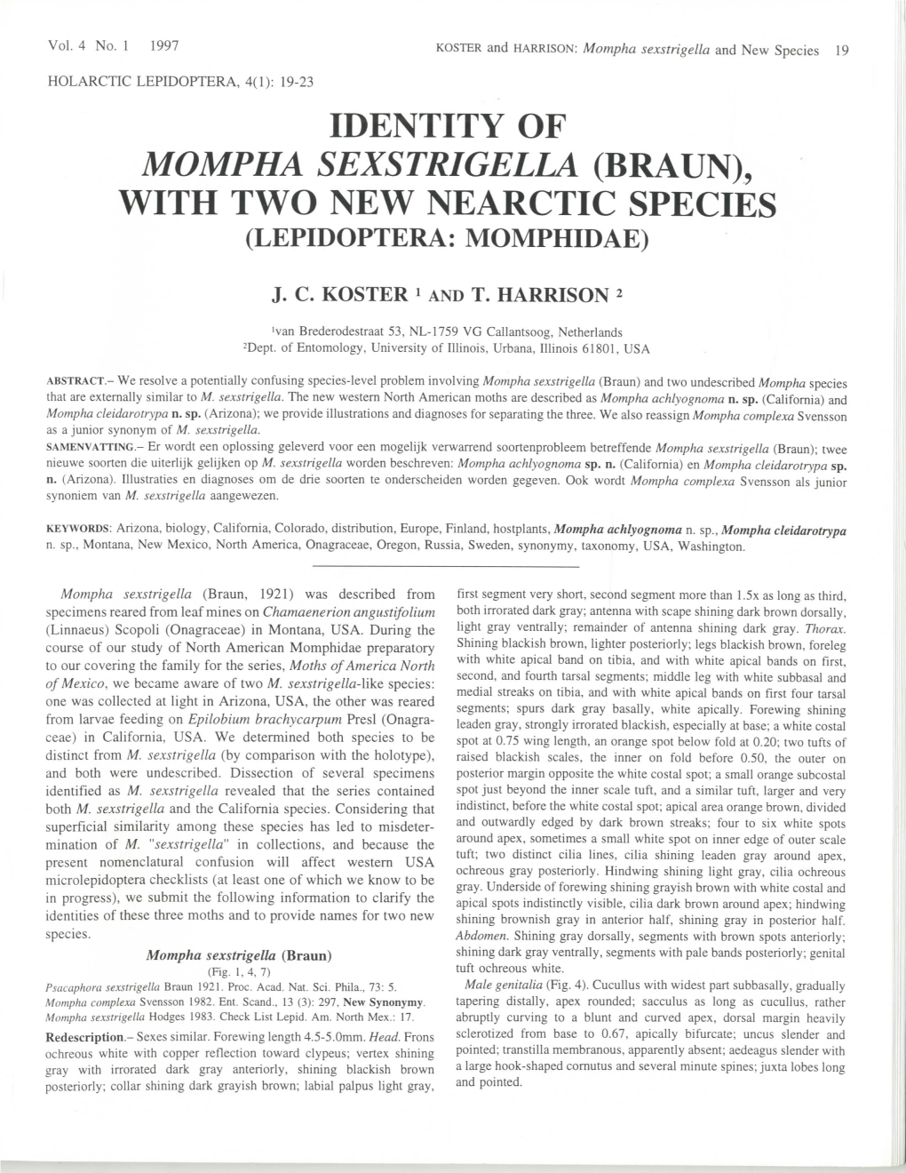 Mompha Sexstrigella (Braun), with Two New Nearctic Species (Lepidoptera: Momphidae)