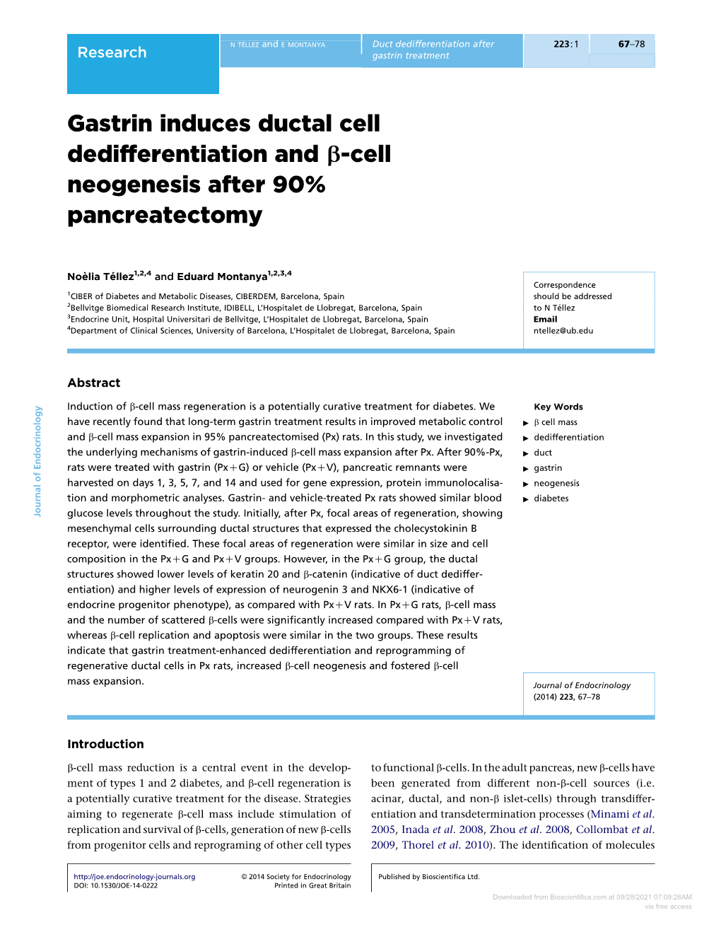 Gastrin Induces Ductal Cell Dedifferentiation and B-Cell Neogenesis After 90% Pancreatectomy