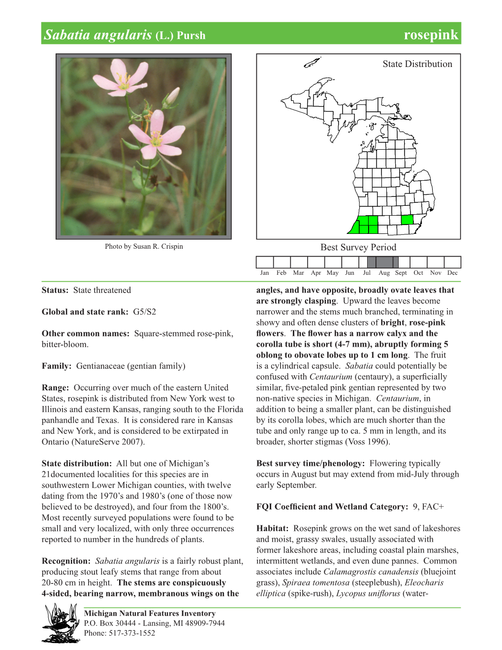 Sabatia Angularis (L.) Pursh Rosepinkrosepink, Page 