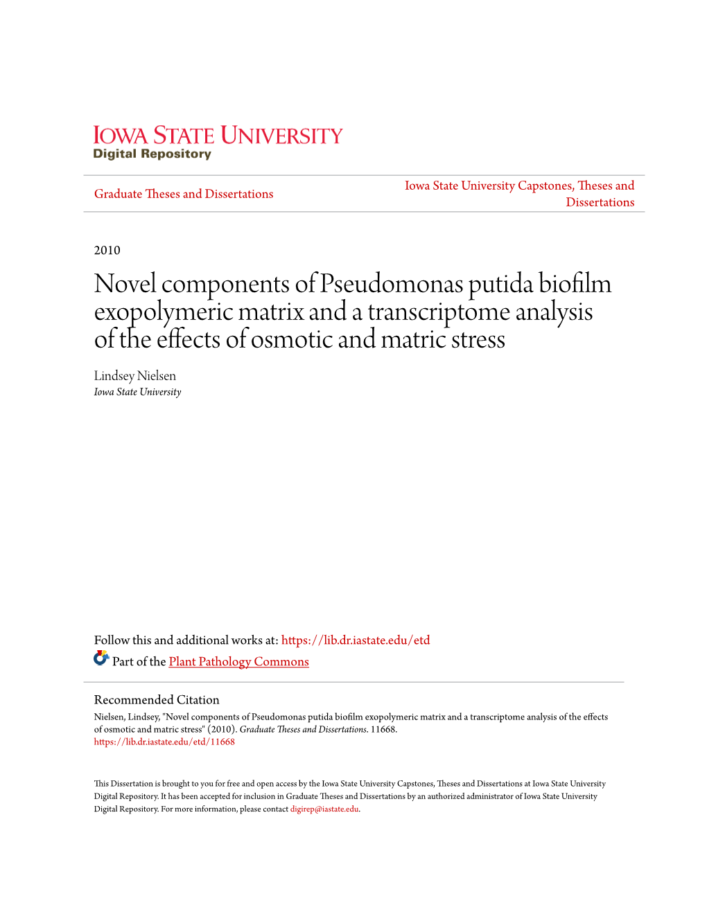 Novel Components of Pseudomonas Putida Biofilm Exopolymeric Matrix