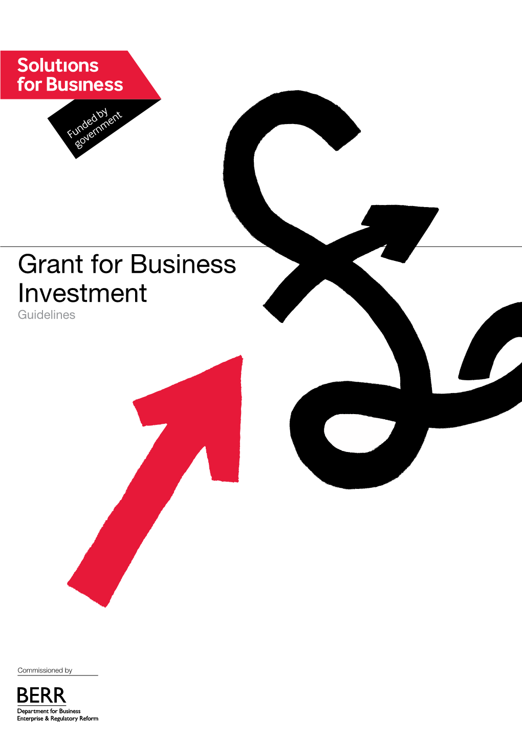 Grant for Business Investment Guidance