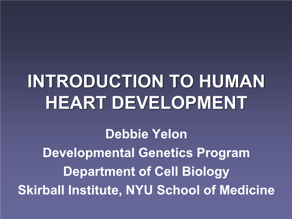 Human Heart Development