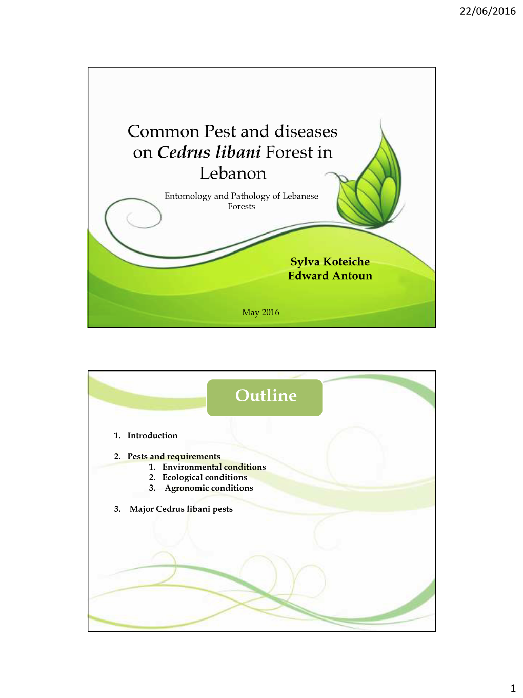 Common Pest and Diseases on Cedrus Libani Forest in Lebanon