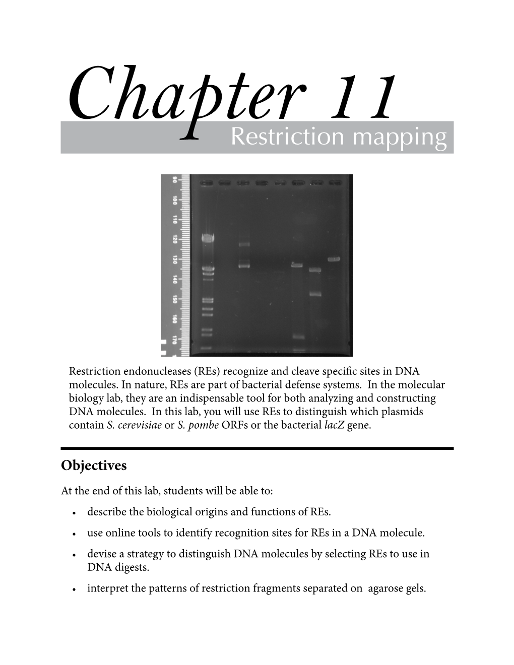 Restriction Mapping