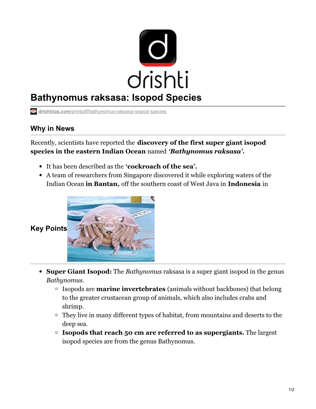 Bathynomus Raksasa: Isopod Species