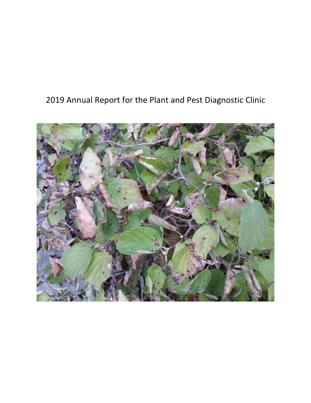 2019 Annual Report for the Plant and Pest Diagnostic Clinic