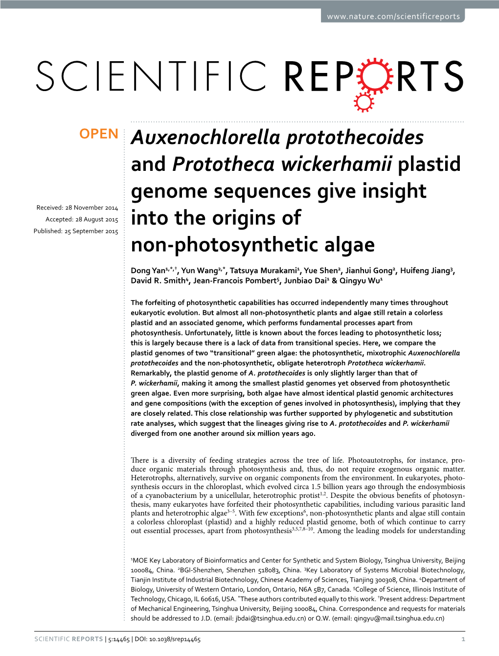 Auxenochlorella Protothecoides and Prototheca Wickerhamii Plastid