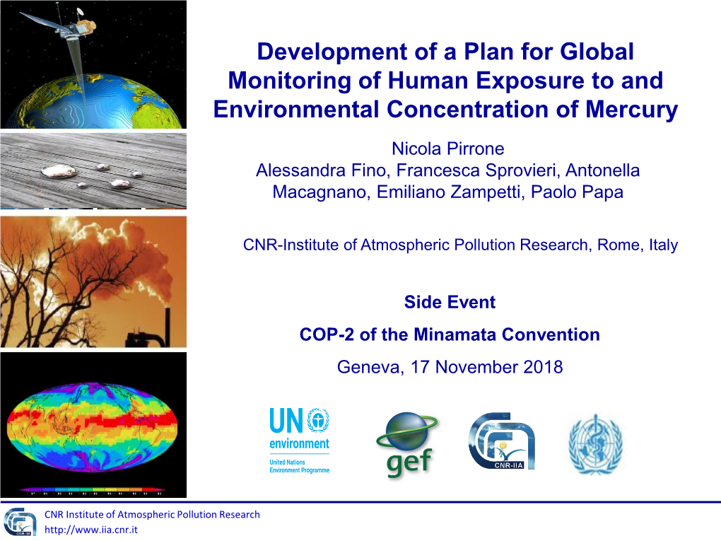 CNR-Institute of Atmospheric Pollution Research, Rome, Italy