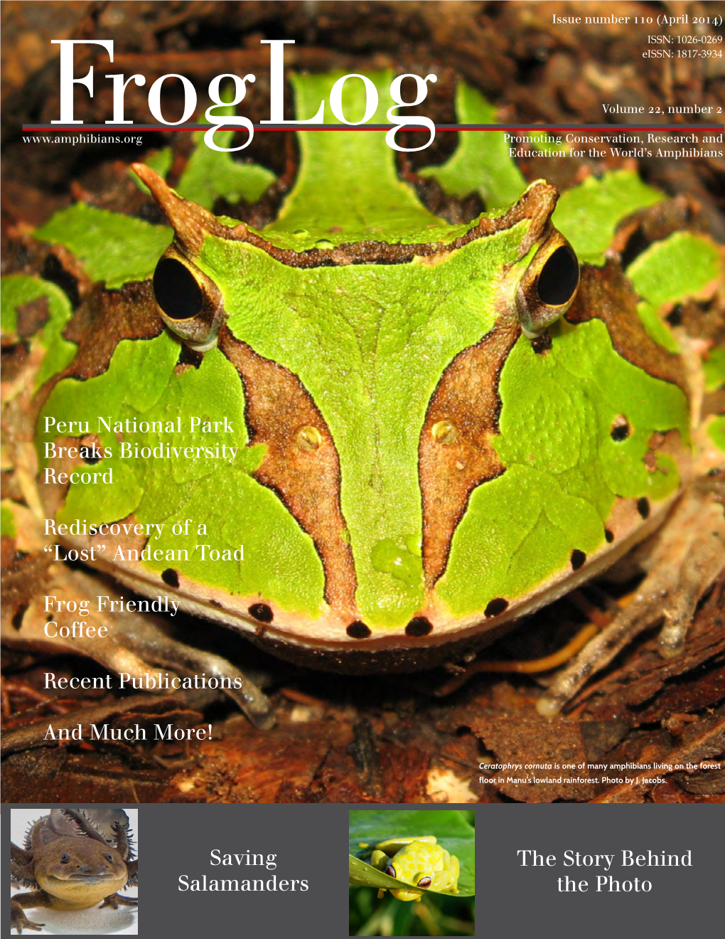 Froglog Promoting Conservation, Research and Education for the World’S Amphibians