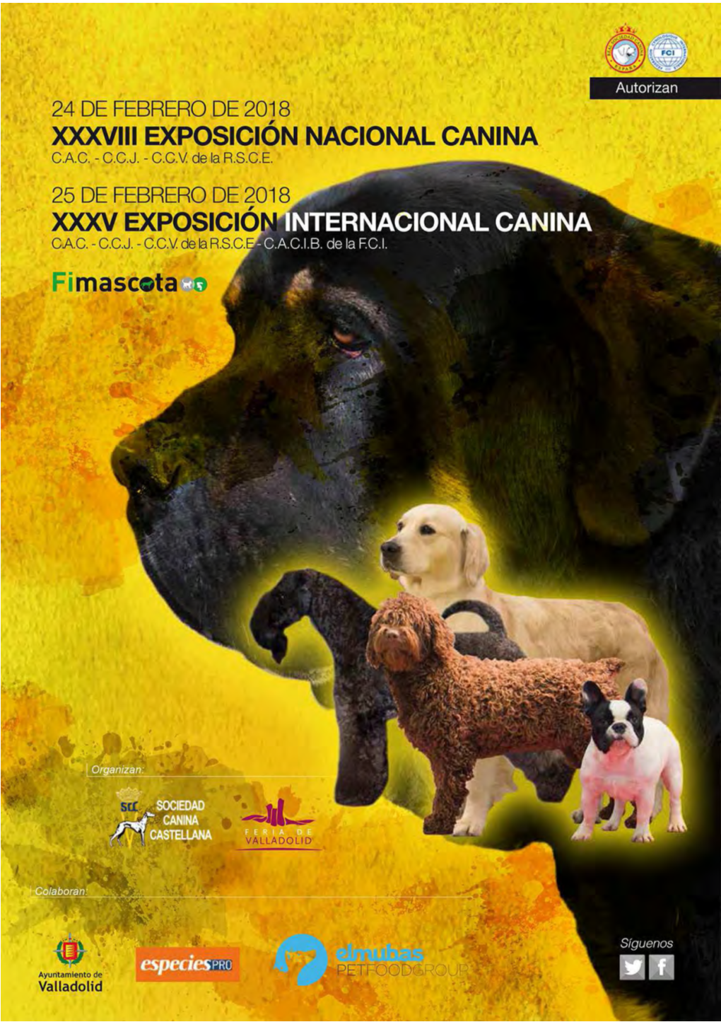 Catalogo VALLADOLID 2018