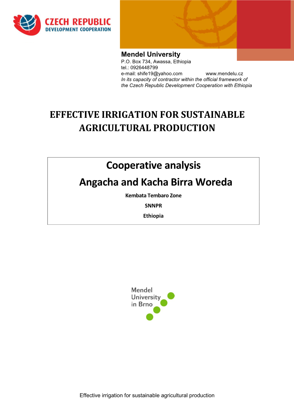 Effective Irrigation for Sustainable Agricultural Production