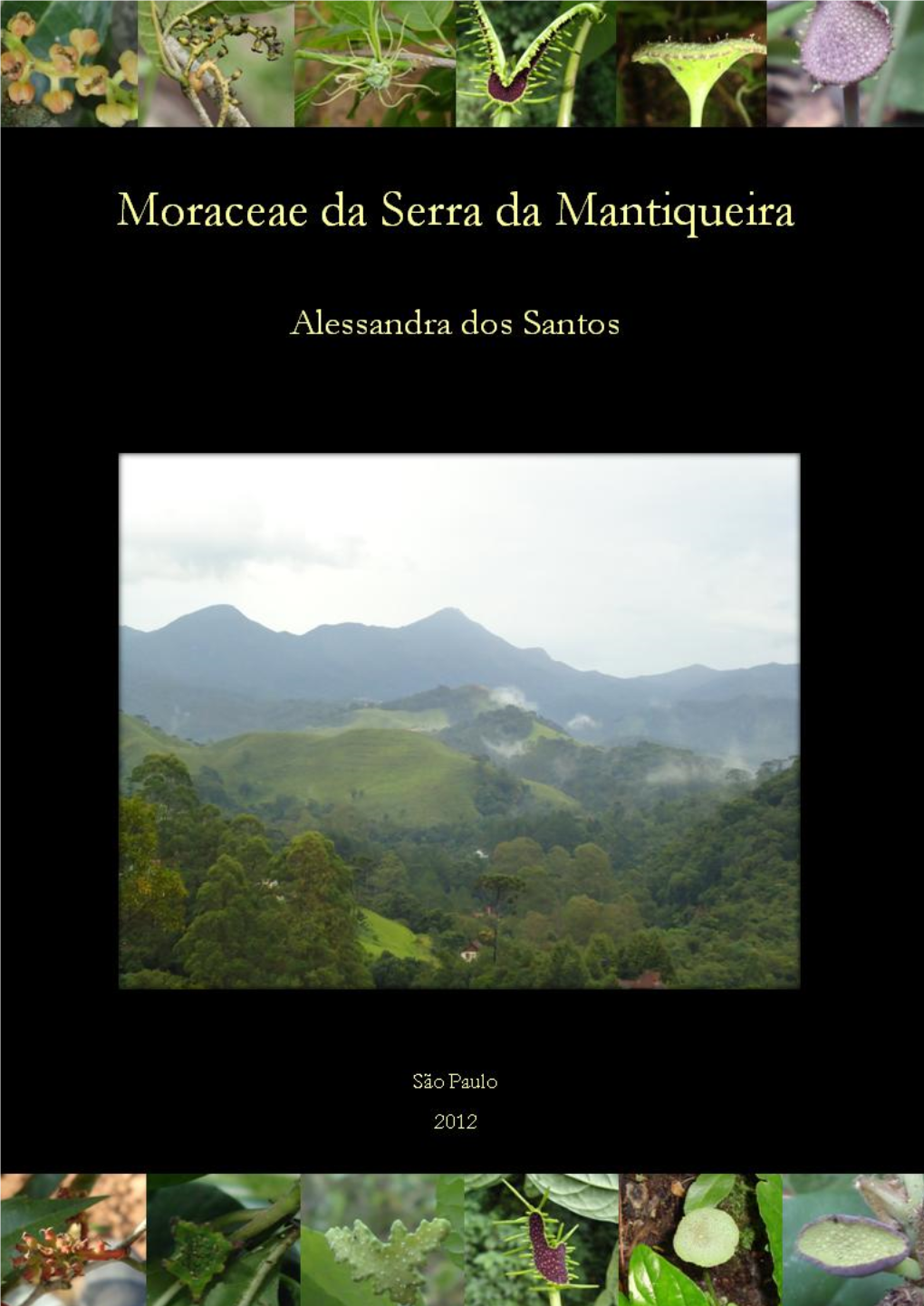 Moraceae Gaudich. (Excl. Ficus) Da Serra Da Mantiqueira