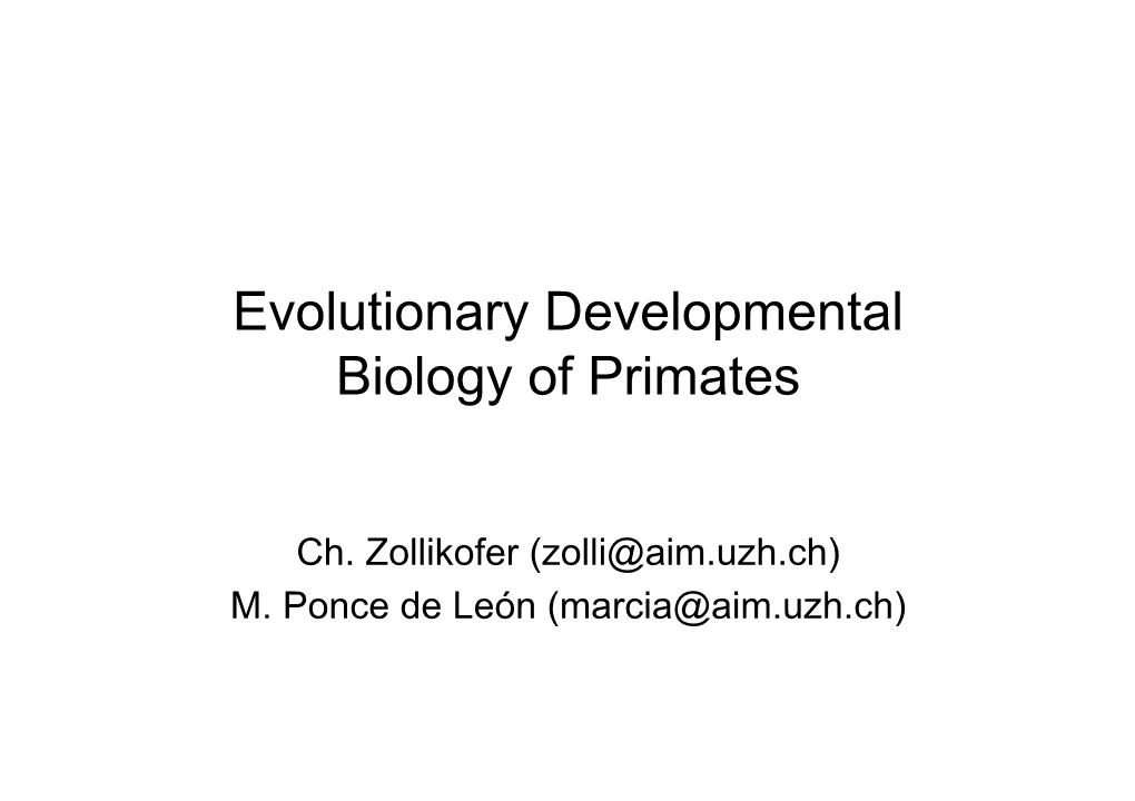 Evolutionary Developmental Biology of Primates