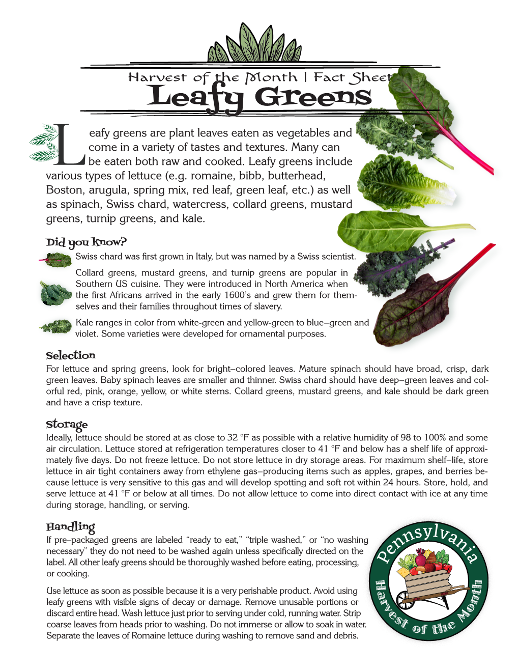 Leafy Greens Eafy Greens Are Plant Leaves Eaten As Vegetables and Come in a Variety of Tastes and Textures