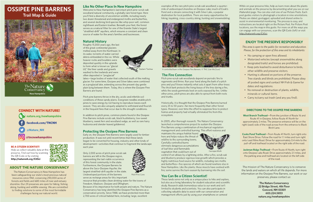 Ossipee Pine Barrens Map & Guide