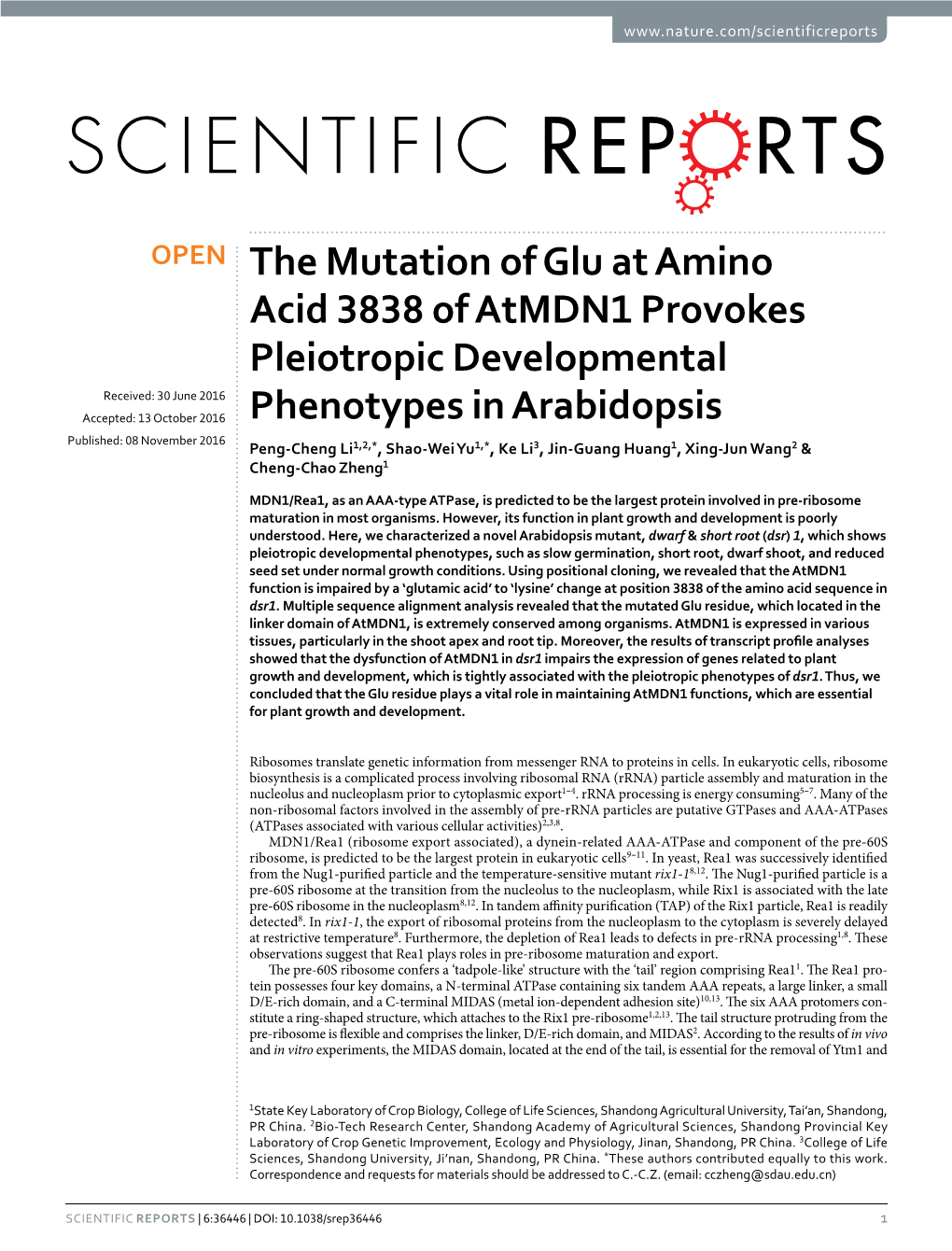 The Mutation of Glu at Amino Acid 3838 of Atmdn1 Provokes