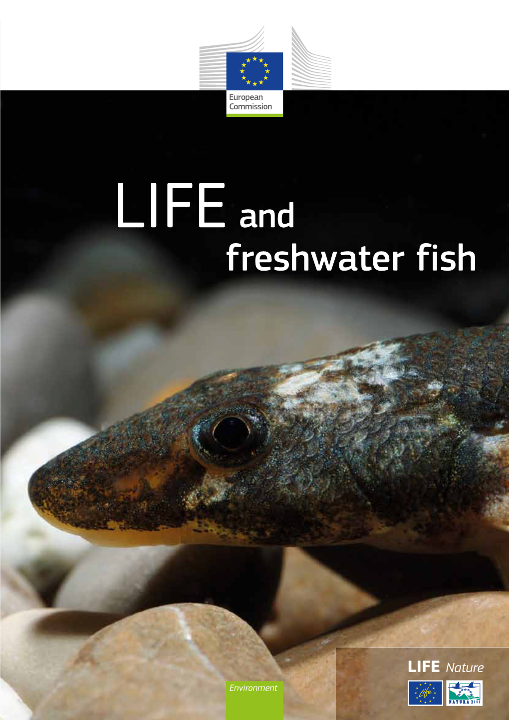 LIFE and Freshwater Fish