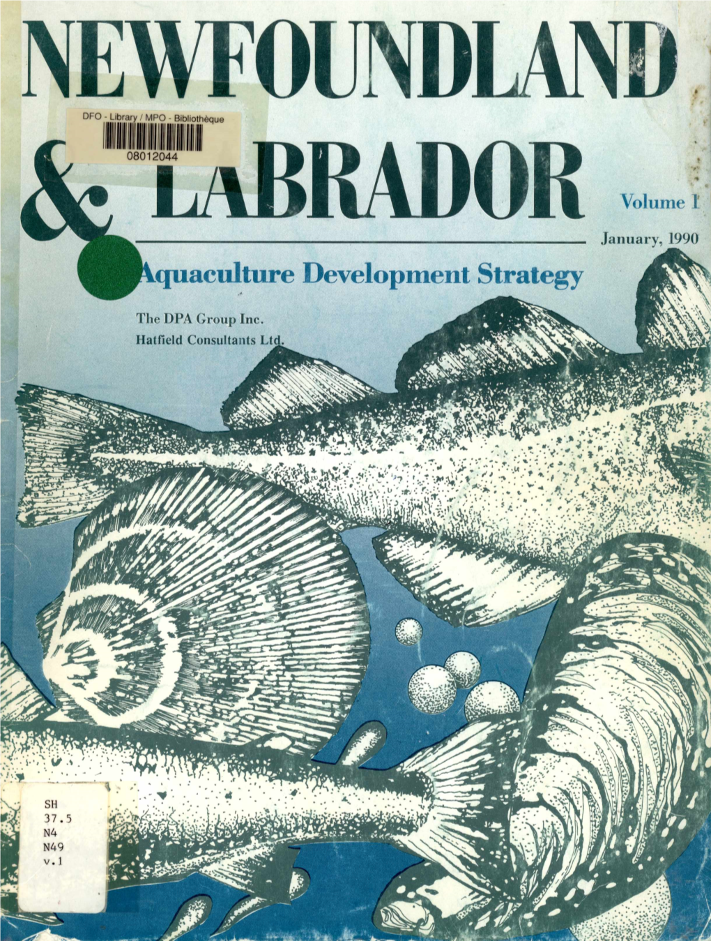 NEWFOUNDLAND DFO - Library / MPO - Bibliothoque 11 1111 III II I II �II II 08012044 OR Volume 1 � January, 1990 Quaculture Development Strategy