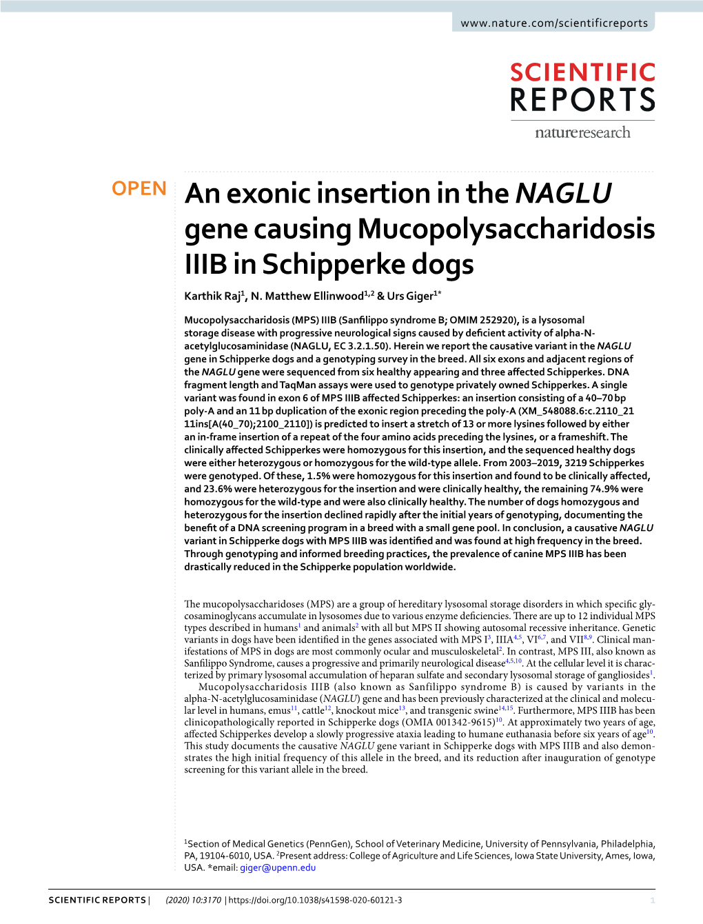 An Exonic Insertion in the NAGLU Gene Causing Mucopolysaccharidosis IIIB in Schipperke Dogs Karthik Raj1, N