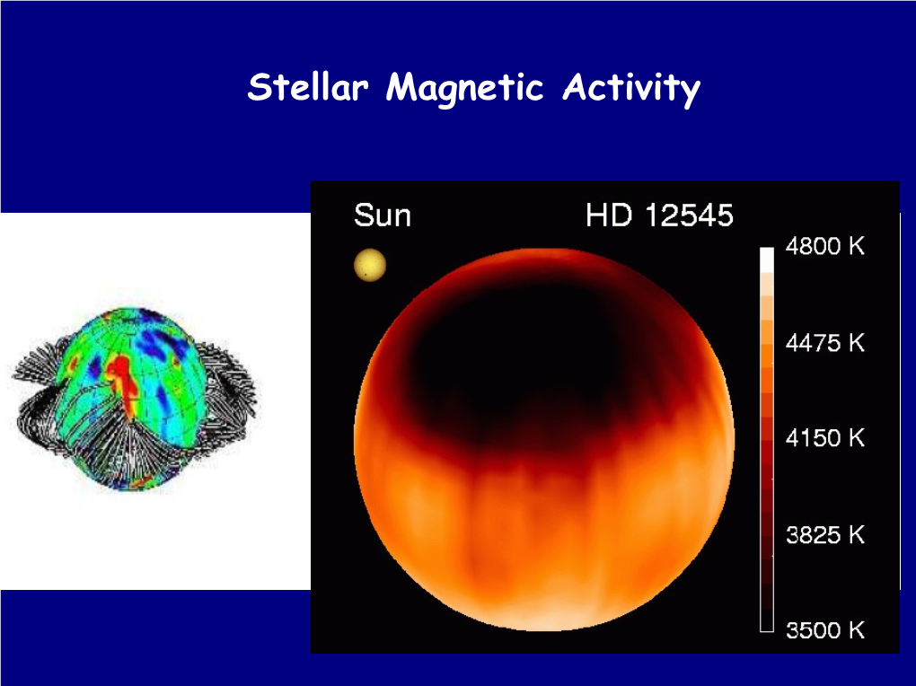 Stellar Magnetic Activity Who’S Active, Who’S Not
