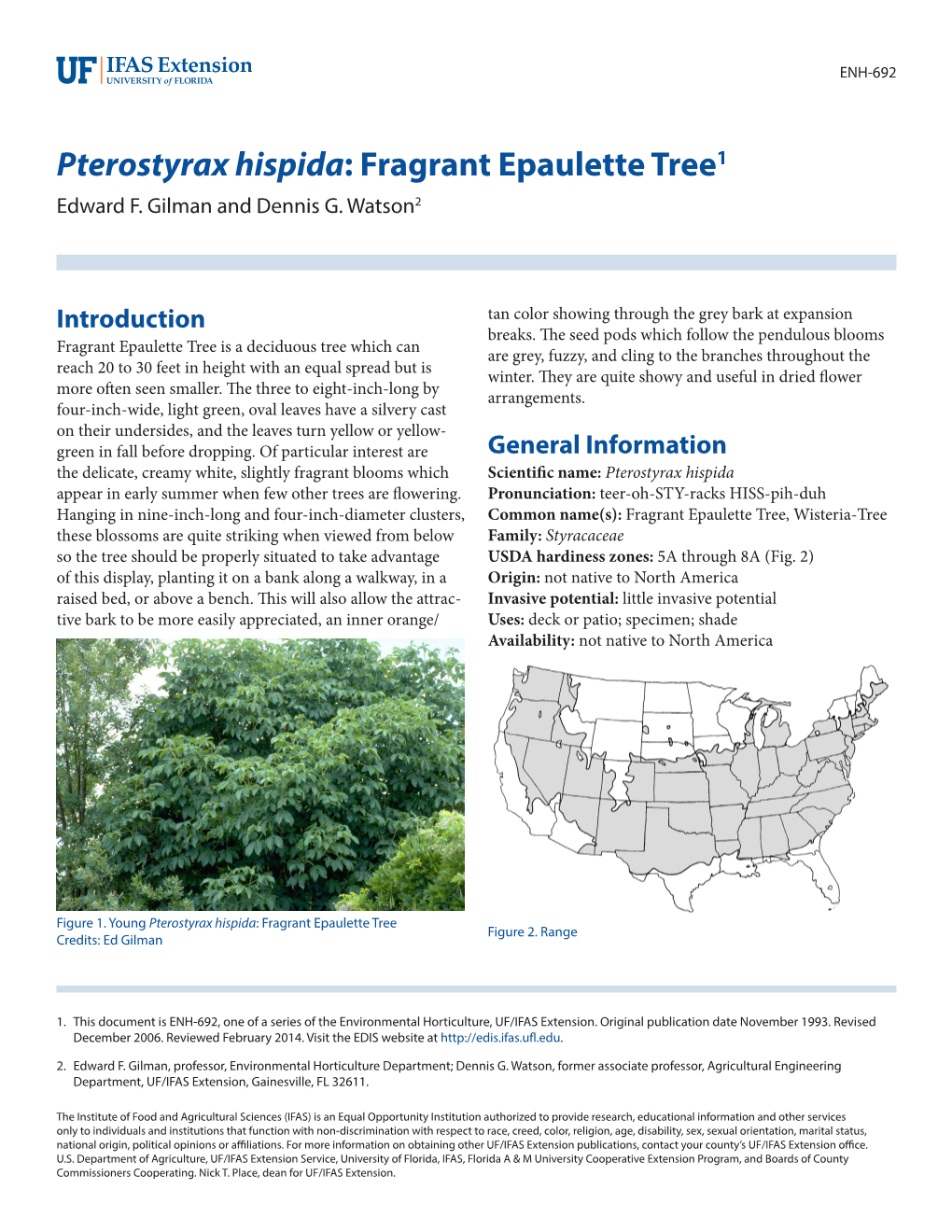 Pterostyrax Hispida: Fragrant Epaulette Tree1 Edward F