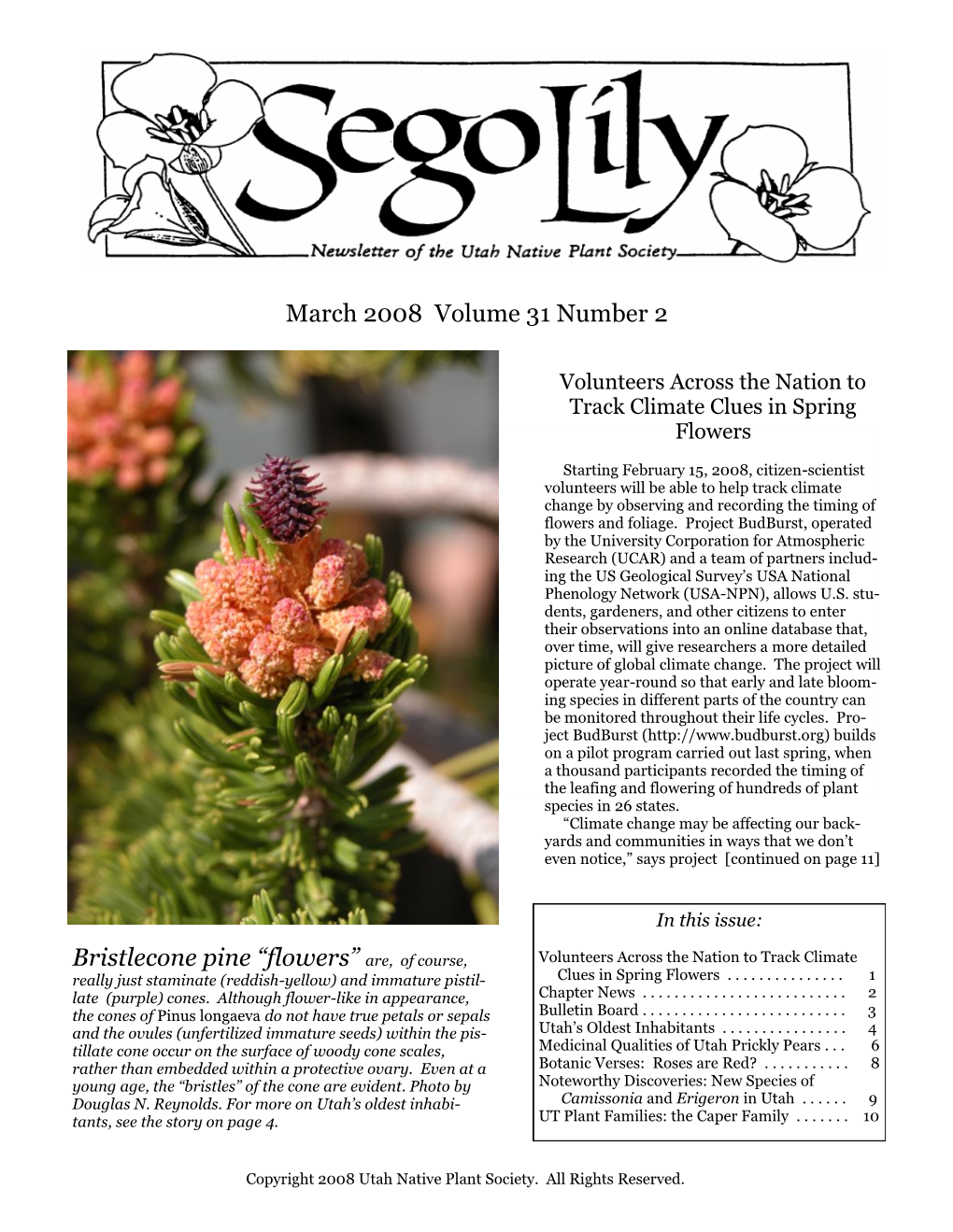 March 2008 Volume 31 Number 2 Bristlecone Pine “Flowers”