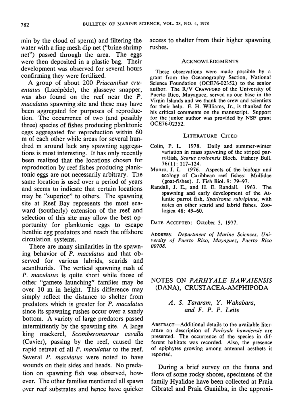 Notes on &lt;I&gt;Parhyale Hawaiensis&lt;/I&gt; (Dana), Crustacea-Amphipoda