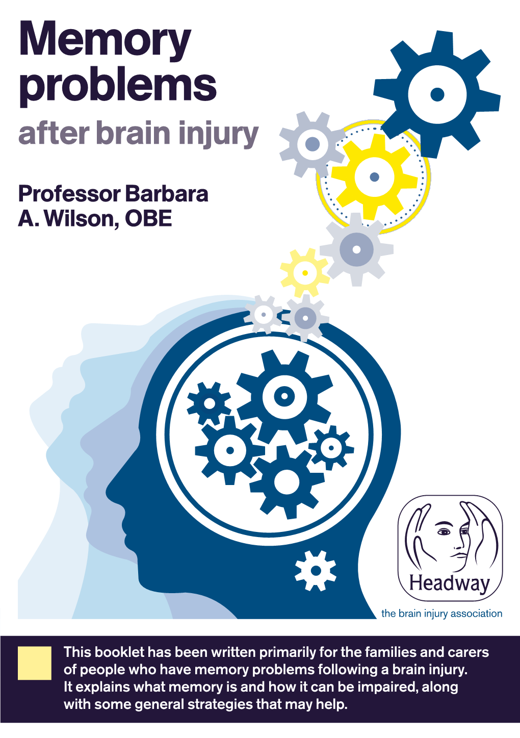 Memory Problems After Brain Injury