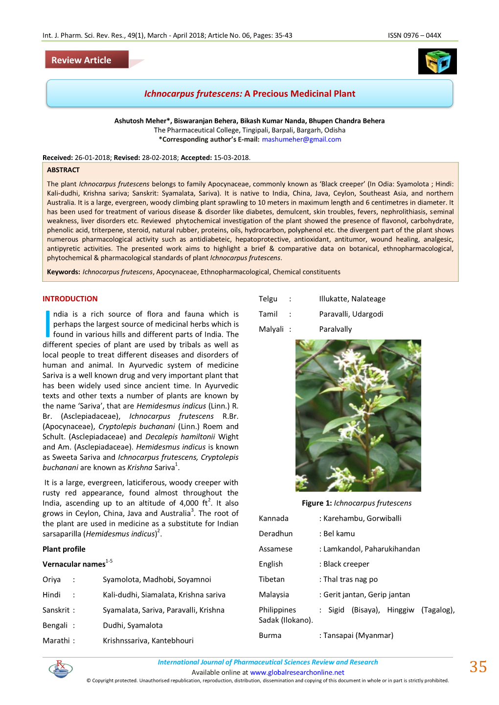 Ichnocarpus Frutescens: a Precious Medicinal Plant Review Article