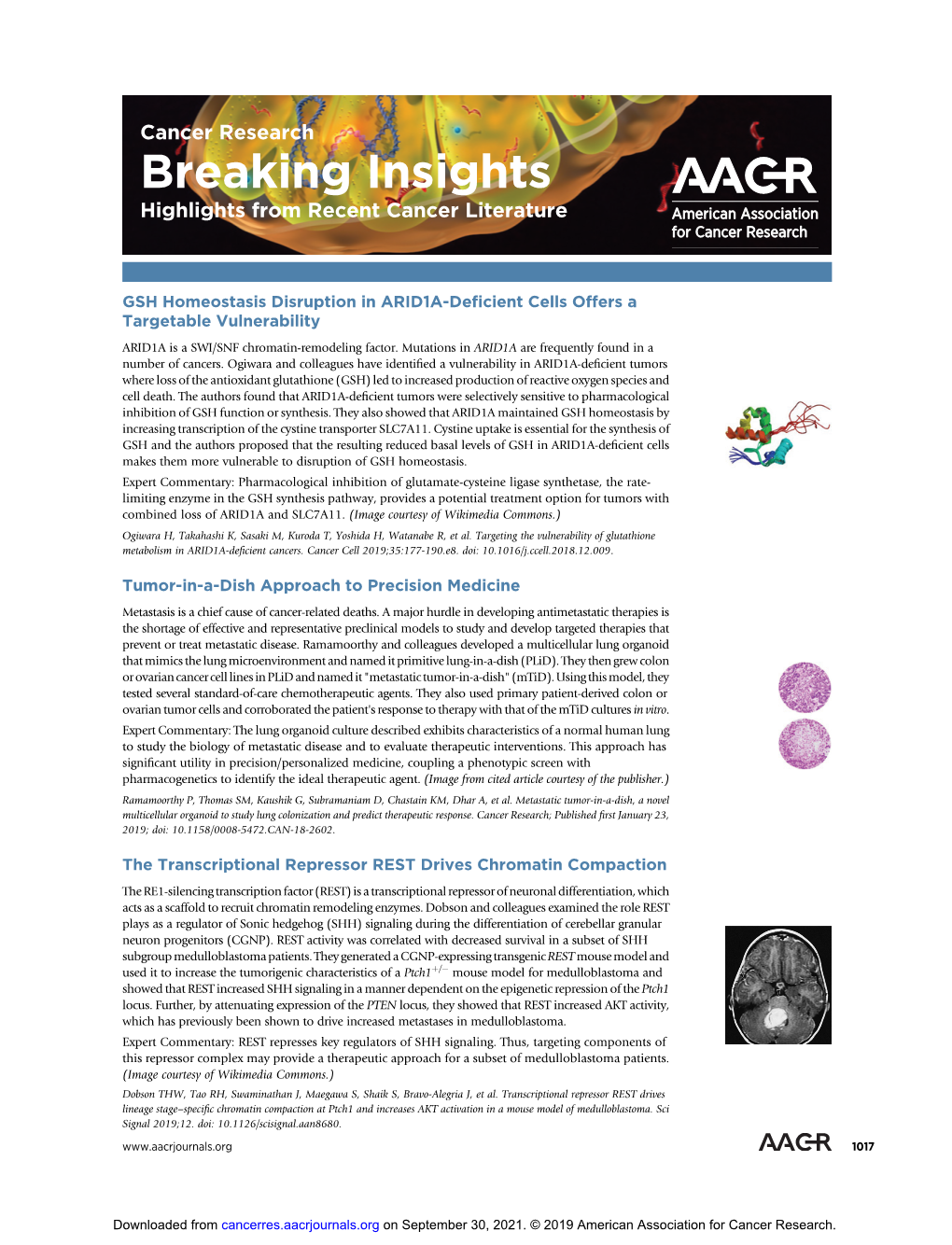 Breaking Insights Highlights from Recent Cancer Literature