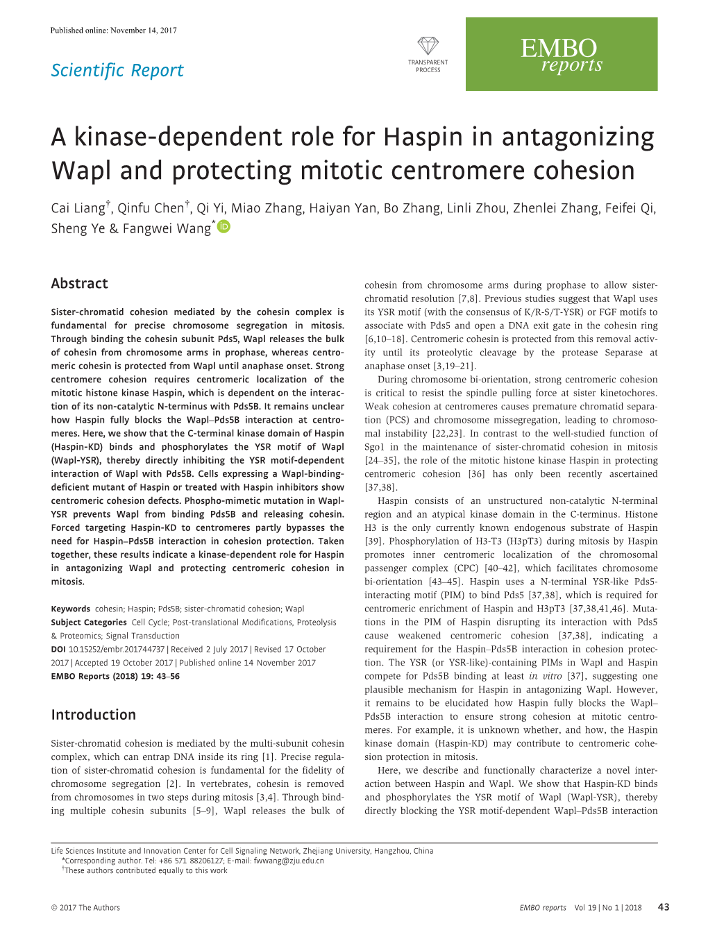 A Kinase‐Dependent Role for Haspin in Antagonizing Wapl and Protecting