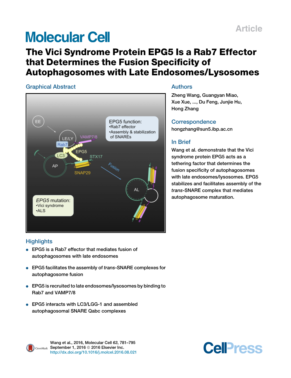 The Vici Syndrome Protein EPG5 Is a Rab7 Effector That Determines the Fusion Speciﬁcity of Autophagosomes with Late Endosomes/Lysosomes