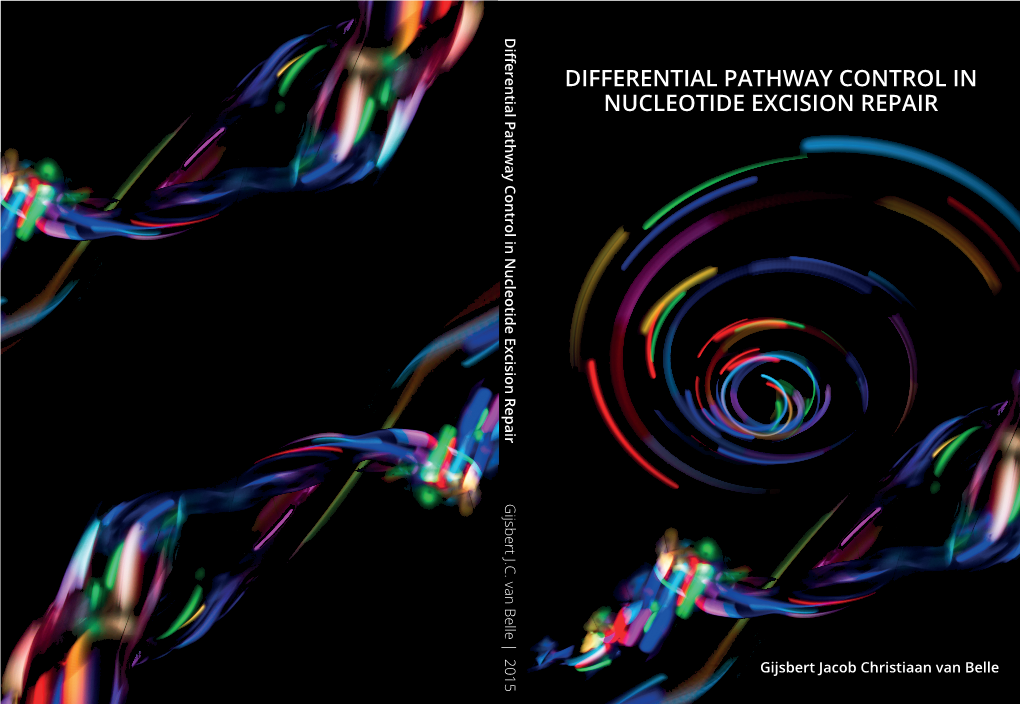 Differential Pathway Control in Nucleotide Excision Repair