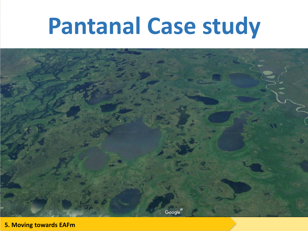 Pantanal Case Study