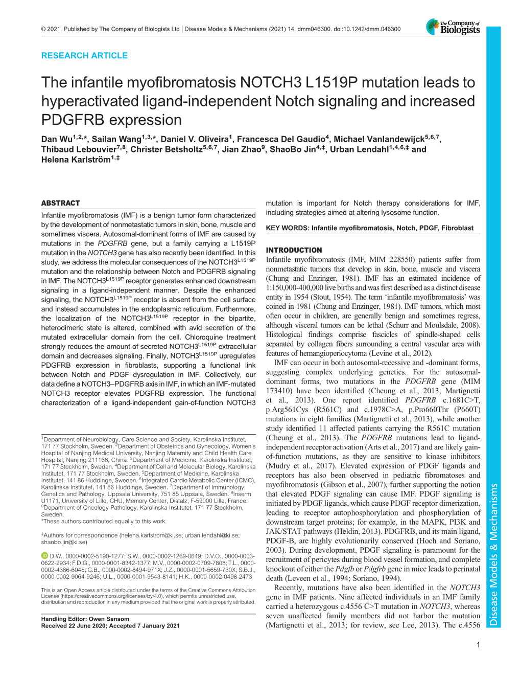 The Infantile Myofibromatosis NOTCH3 L1519P