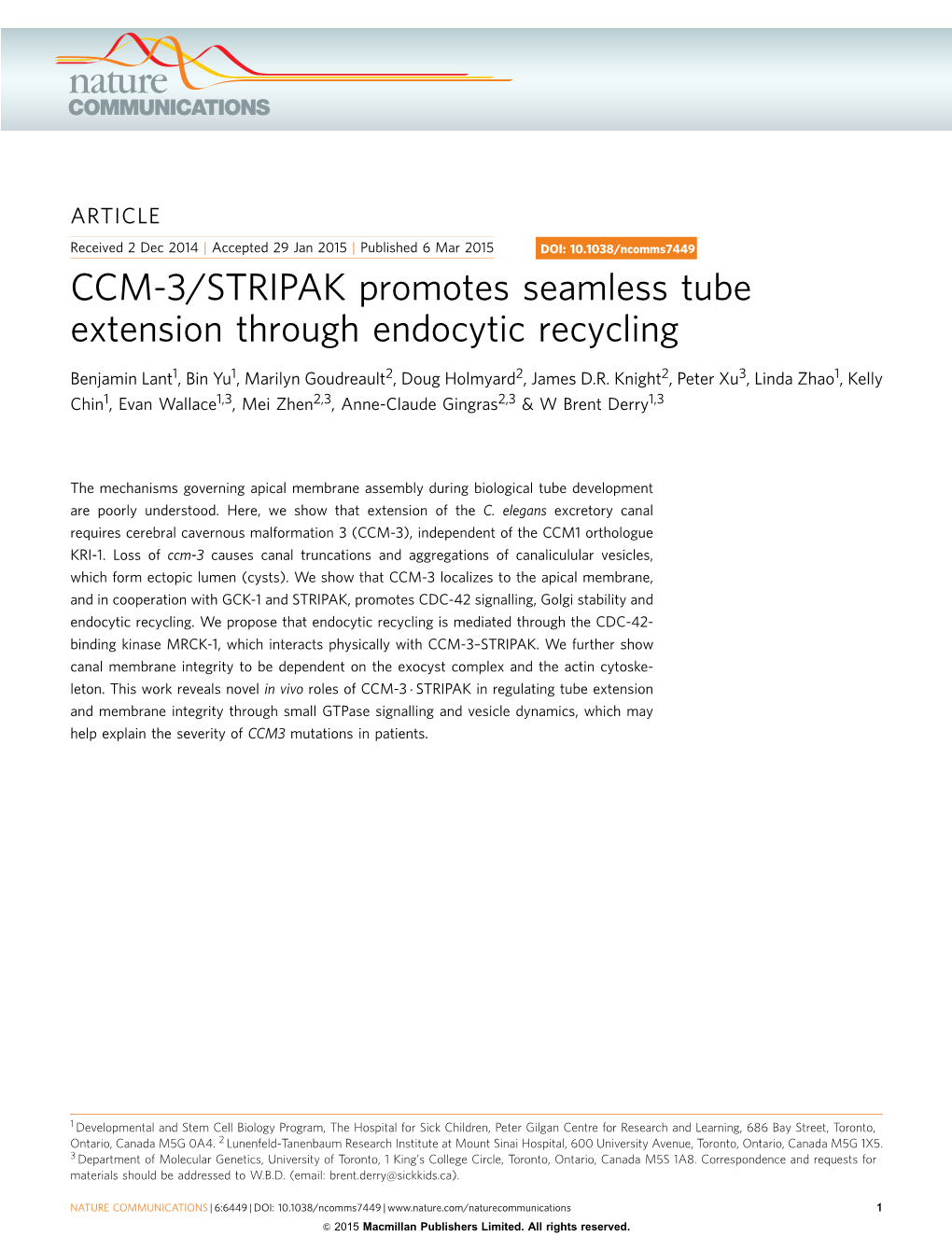 CCM-3/STRIPAK Promotes Seamless Tube Extension Through Endocytic Recycling