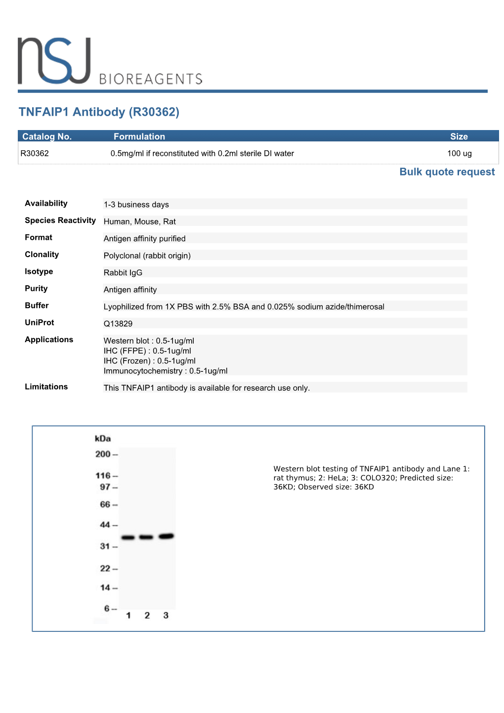 TNFAIP1 Antibody (R30362)