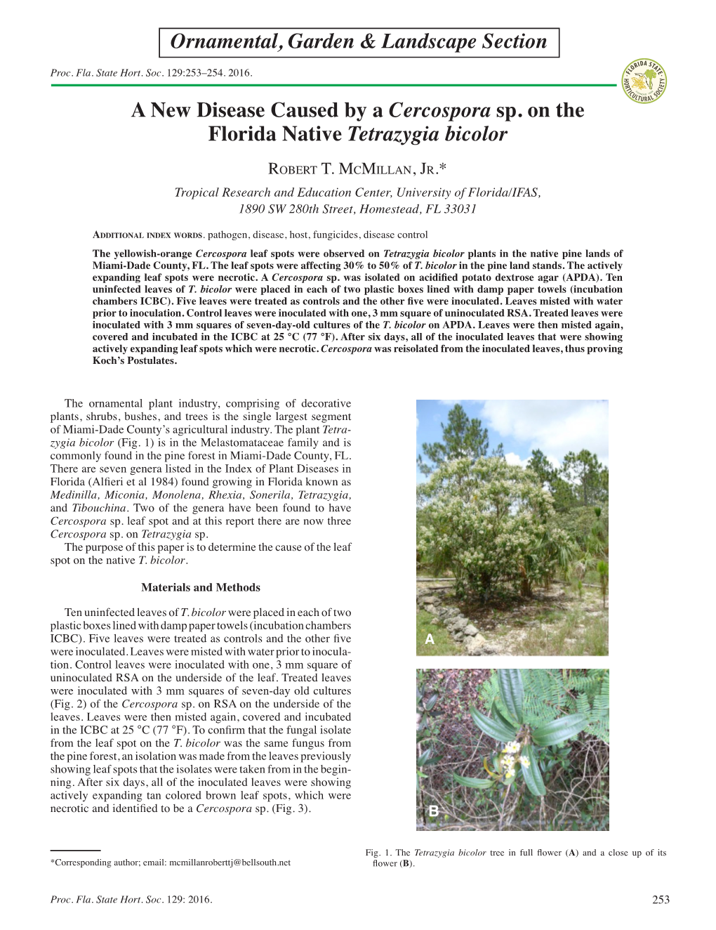 A New Disease Caused by a Cercospora Sp. on the Florida Native Tetrazygia Bicolor