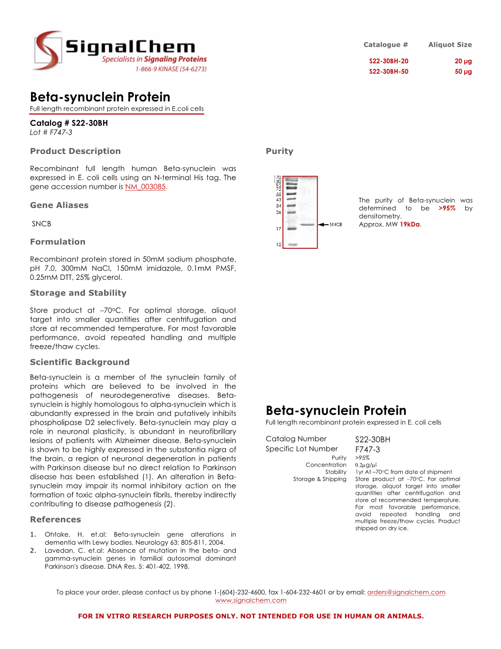 Beta-Synuclein Protein Full Length Recombinant Protein Expressed in E.Coli Cells