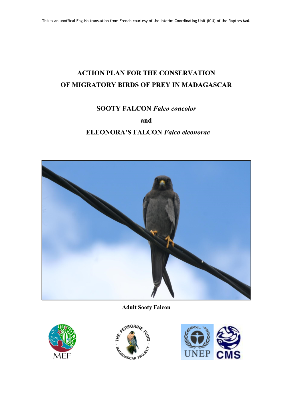 Action Plan for the Conservation of Migratory Birds of Prey in Madagascar