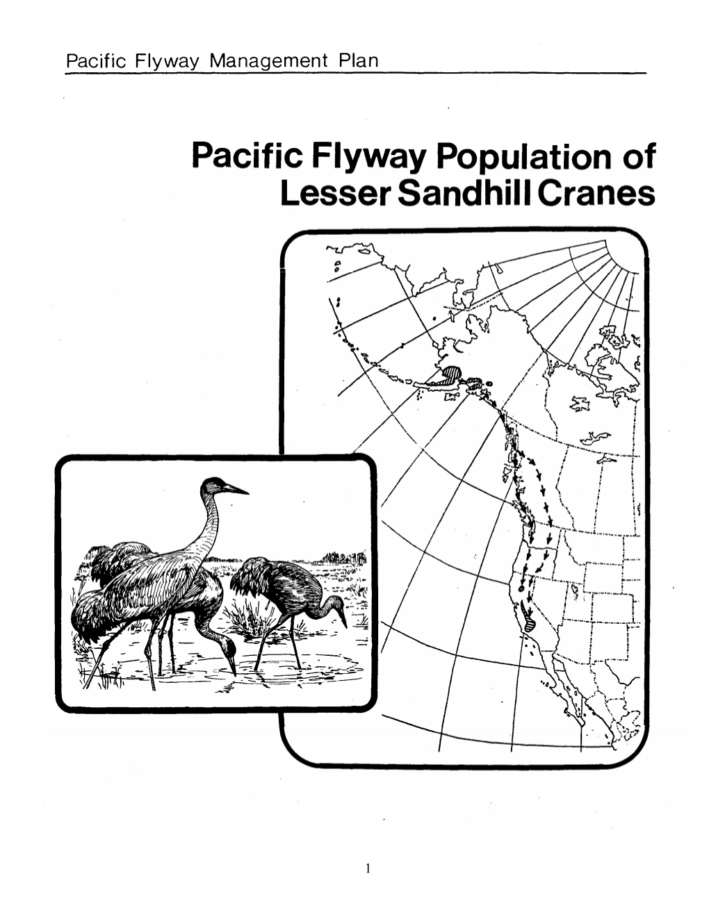 Pacific Flyway Population of Lesser Sandhill Cranes