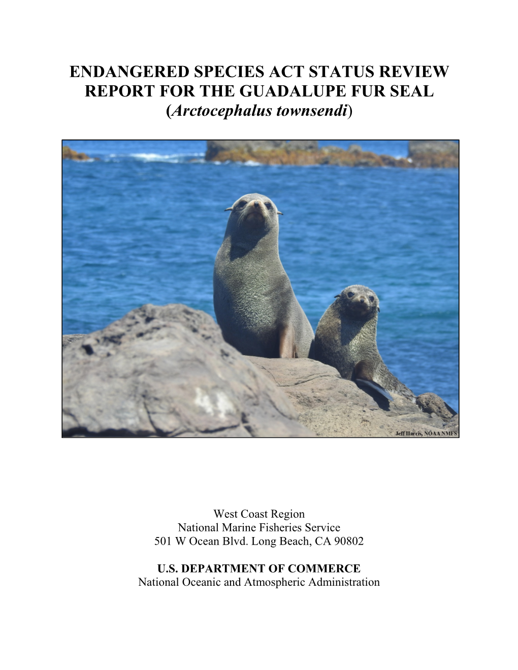 ENDANGERED SPECIES ACT STATUS REVIEW REPORT for the GUADALUPE FUR SEAL (Arctocephalus Townsendi)